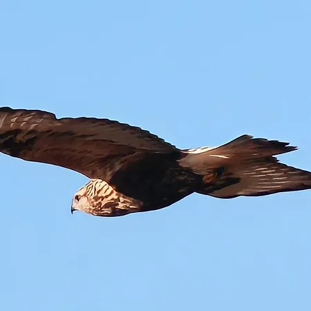 Hotel Smarthotell Båtsfjord
