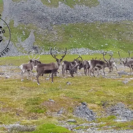 Smarthotell Båtsfjord