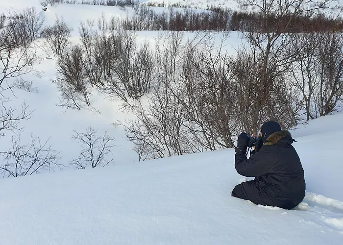 Hotel Smarthotell 3*