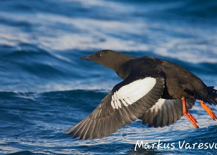 Hotel Smarthotell Båtsfjord