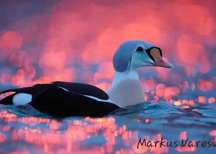 Smarthotell Hotel 3*