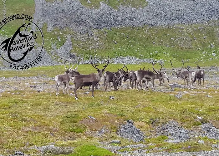 Smarthotell Båtsfjord