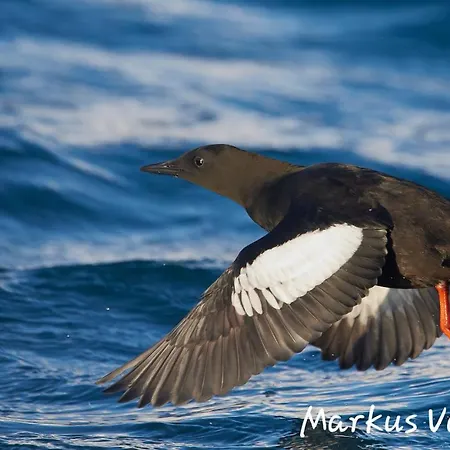 Hotel Smarthotell Batsfjord