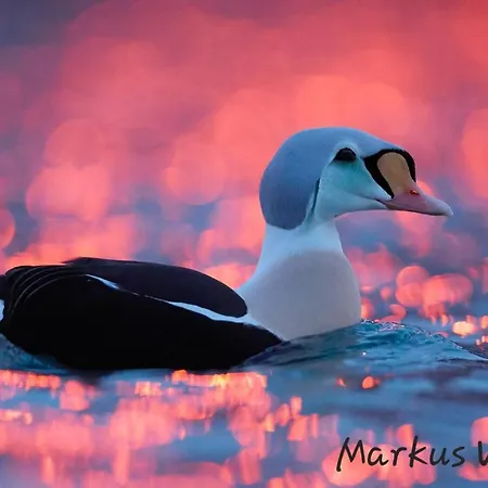 Smarthotell Hotel 3*