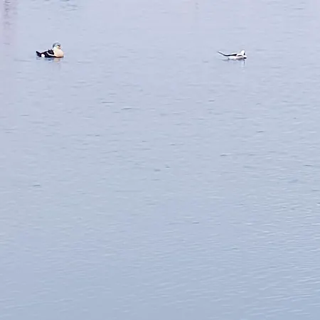 Smarthotell Batsfjord