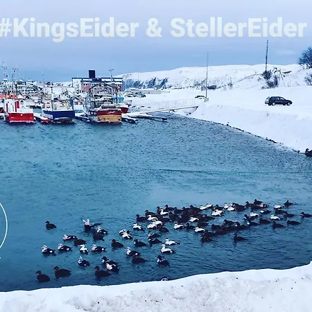 Smarthotell Hotel 3*